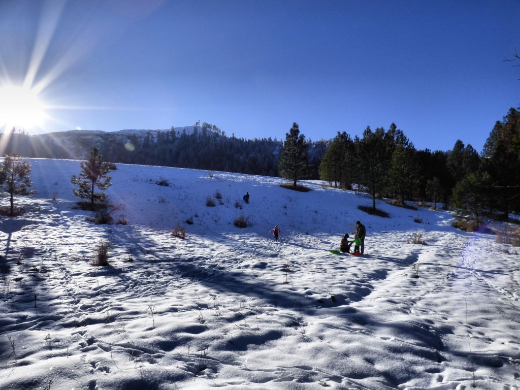 sledding